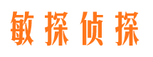 沙湾区市侦探公司